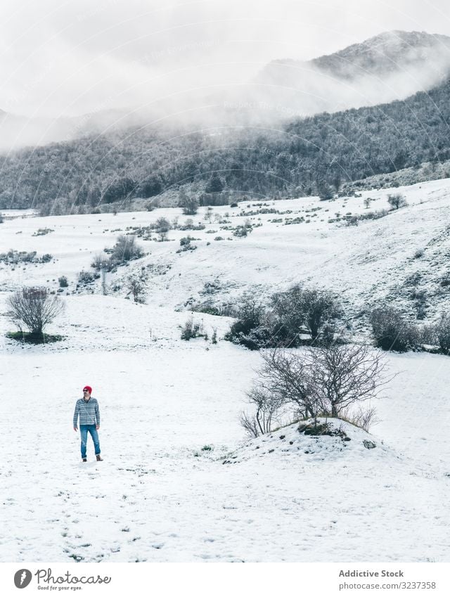 Mann geht auf Winterfeld Feld Schnee Spaziergang Erholung genießen Land Wald allein Wiese Hügel Baum gefroren ruhig Windstille kalt Natur Tal ruhen Reise