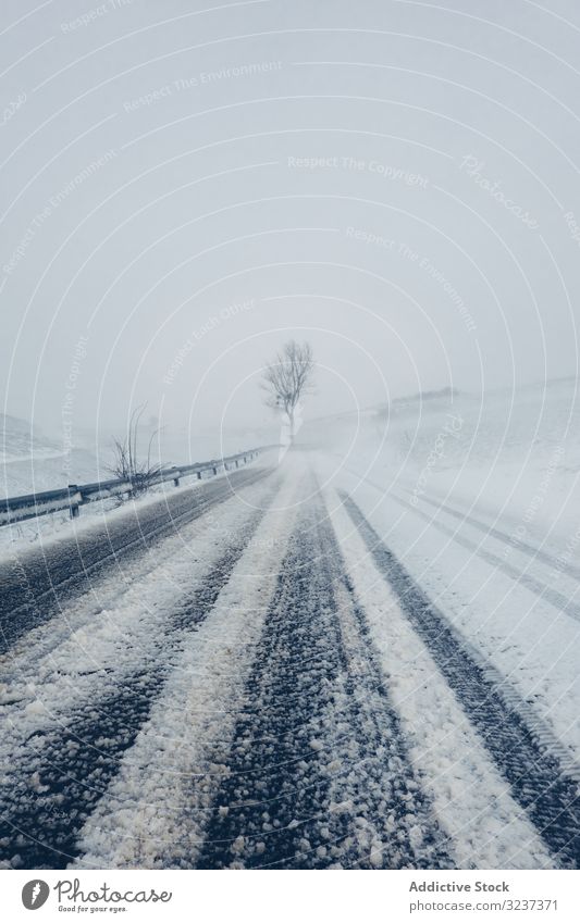 Winter verschneite leere Landstraße Straße Schnee wolkig trist Wald Baum gefroren kalt neblig Natur Reise Saison Frost Nebel Wetter bedeckt weiß Landschaft Weg