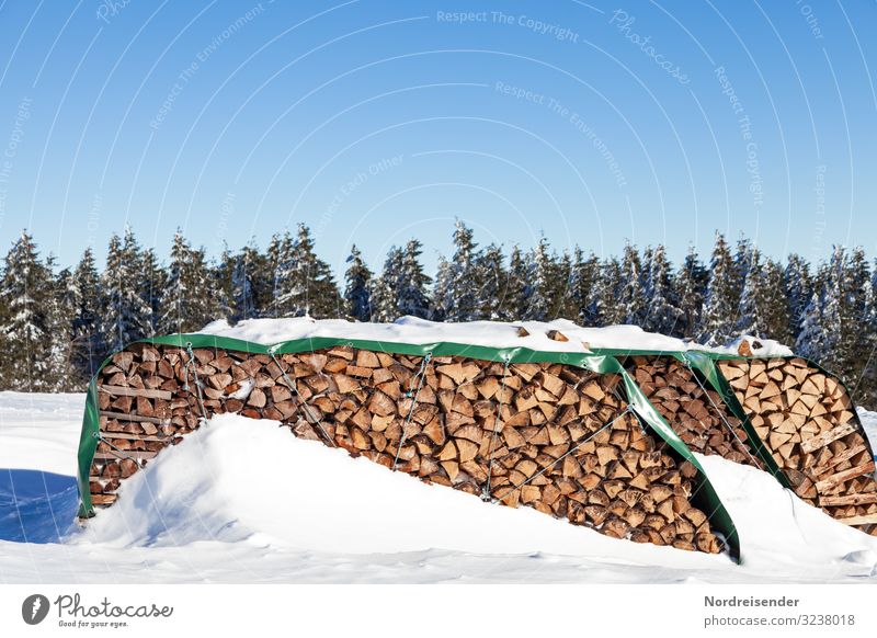 Holz vor der Hütte Ausflug Winter Energiewirtschaft Erneuerbare Energie Natur Landschaft Wolkenloser Himmel Sonne Klima Wetter Schönes Wetter Eis Frost Schnee