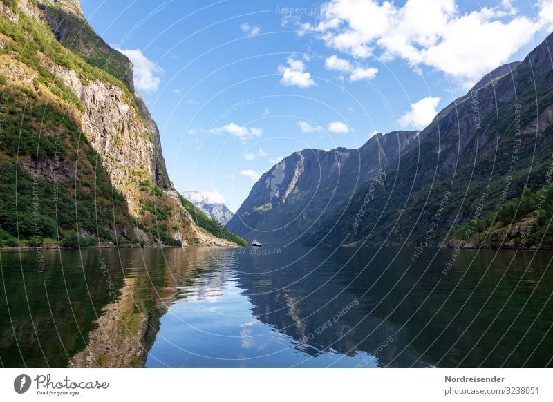 Aurlandsfjord Ferien & Urlaub & Reisen Tourismus Kreuzfahrt Meer Natur Landschaft Urelemente Wasser Himmel Wolken Sommer Schönes Wetter Felsen Berge u. Gebirge