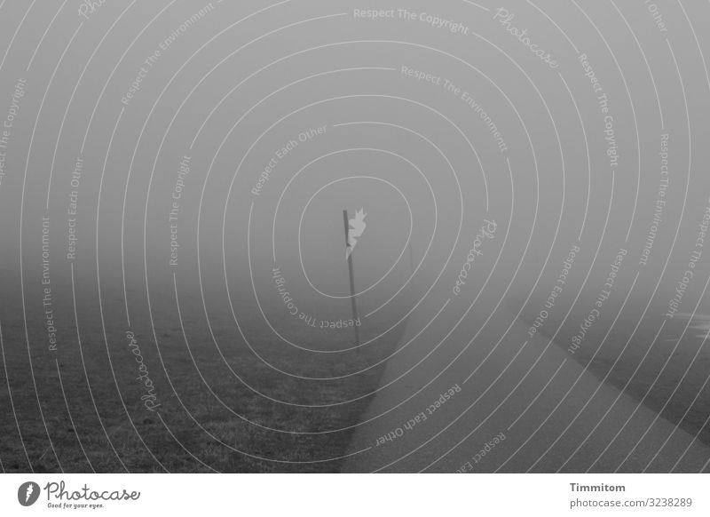 Der Weg ist das Ziel Ferien & Urlaub & Reisen Umwelt Natur Landschaft Himmel Wetter Nebel Gras Schwarzwald Wege & Pfade Schilder & Markierungen gehen dunkel
