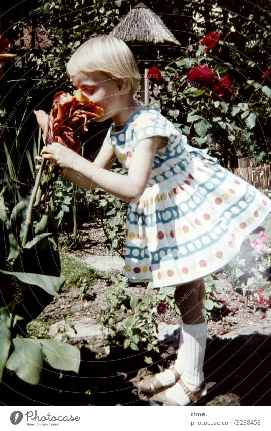 Tauchgang feminin Mädchen 1 Mensch Umwelt Natur Schönes Wetter Pflanze Blume Orchidee Garten Kleid blond kurzhaarig entdecken genießen stehen Lebensfreude