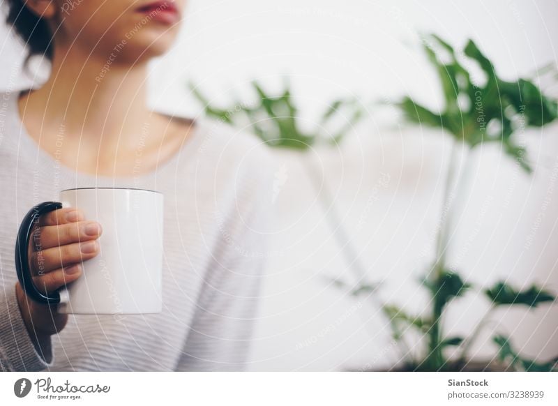 Handgehaltene Kaffeetasse Tee Topf Lifestyle Erholung Winter Frau Erwachsene Pflanze Wetter Wärme Blatt Pullover heiß weich grün weiß Geborgenheit Becher Halt