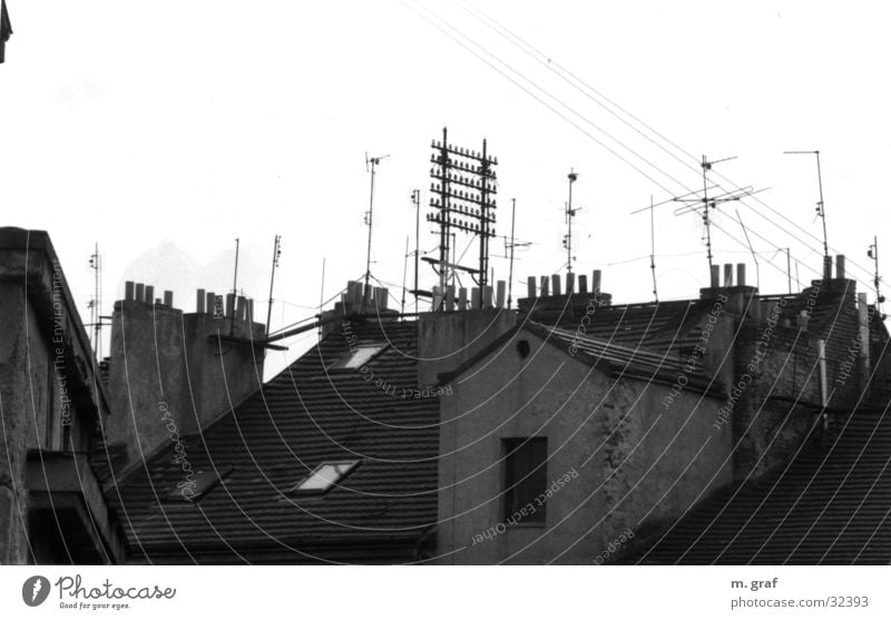 Telekomunikation Dach Hochspannungsleitung Elektrisches Gerät Technik & Technologie parg telefonleitungen Schwarzweißfoto Kabel