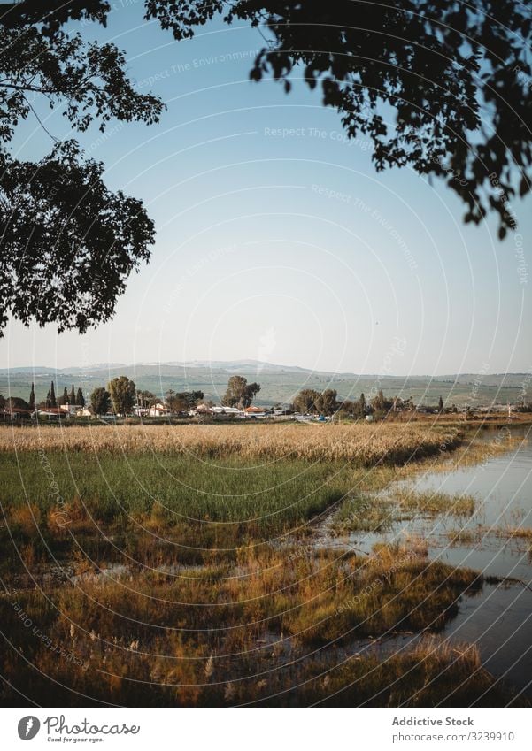 Grasbewachsenes Seeufer am Abend Küste Dorf Himmel wolkenlos Wasser Herbst niemand Natur Ufer Ökologie fallen Saison Windstille ruhig Gelassenheit friedlich