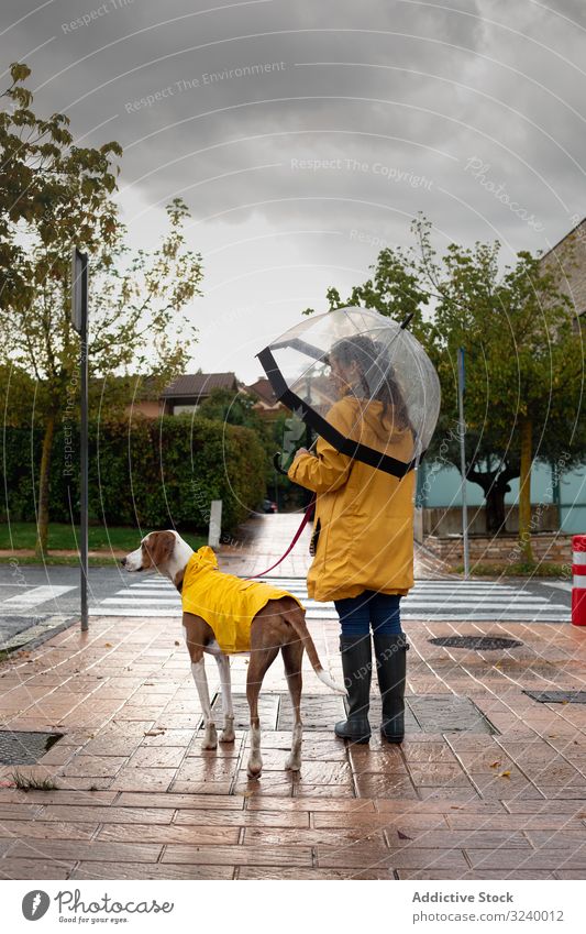 Frau geht mit Hund im Umhang auf der Straße spazieren laufen Tier Haustier Zusammensein Regen urban gelb Jacke Kapuze Freundschaft Begleiter anleinen lässig