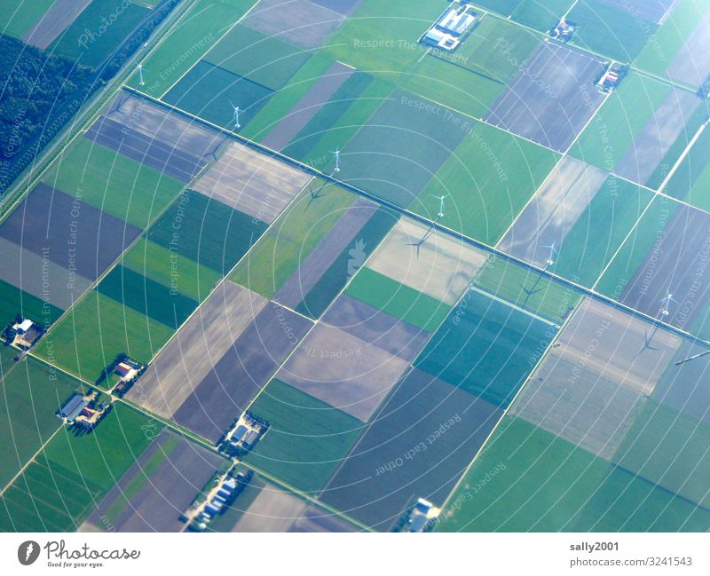 perfekt eingeteilt... Landwirtschaft Feld Einteilung Bauernhof rechteckig ordentlich Flurbereinigung Windkraft Windrad Vogelperspektive gerade Parzelle Boden