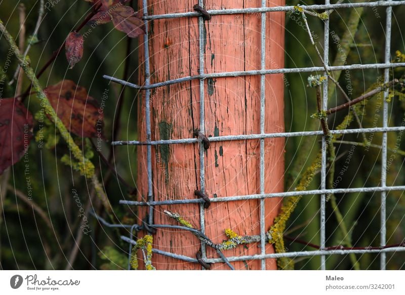 Das Metallgitter mesh Architektur Draht Baustelle Industrie industriell Muster Arbeit & Erwerbstätigkeit Befestigung abstrakt bauen Käfig Erfinden Rahmen Holz