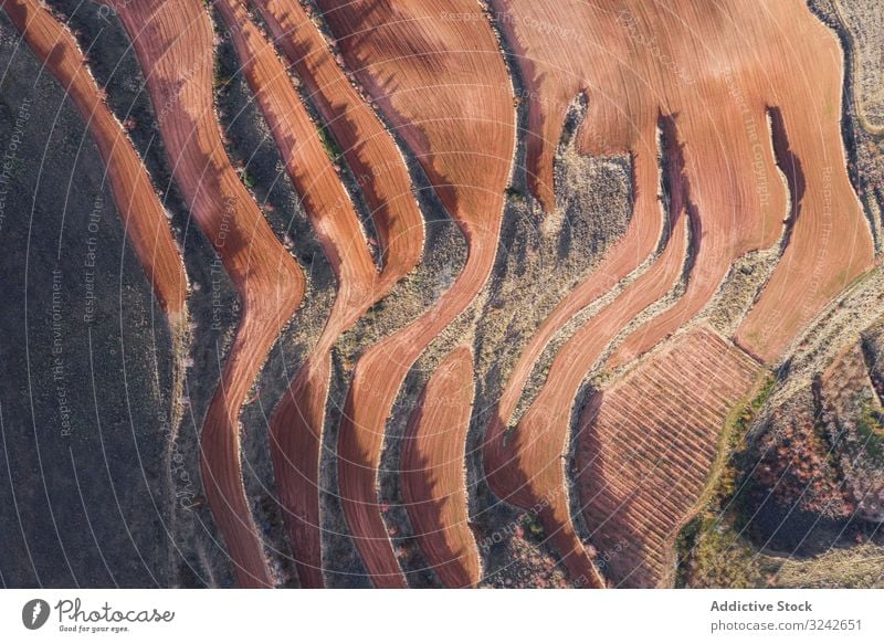 Trockene Terrassen von oben Gartenbau natürlich trocknen Saison Berge u. Gebirge Antenne landwirtschaftlich Landschaft Umwelt Natur Ernte Landwirtschaft