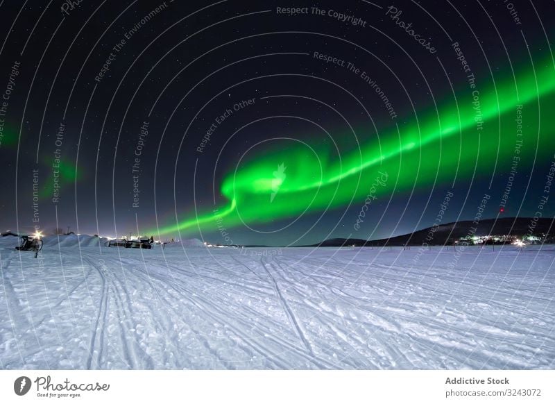 Polarlichter über Bäumen in der Winterlandschaft Nordlicht Nacht Landschaft Schnee Konifere Wald glühen grün atmosphärisch Natur kalt cool polar Wetter niemand