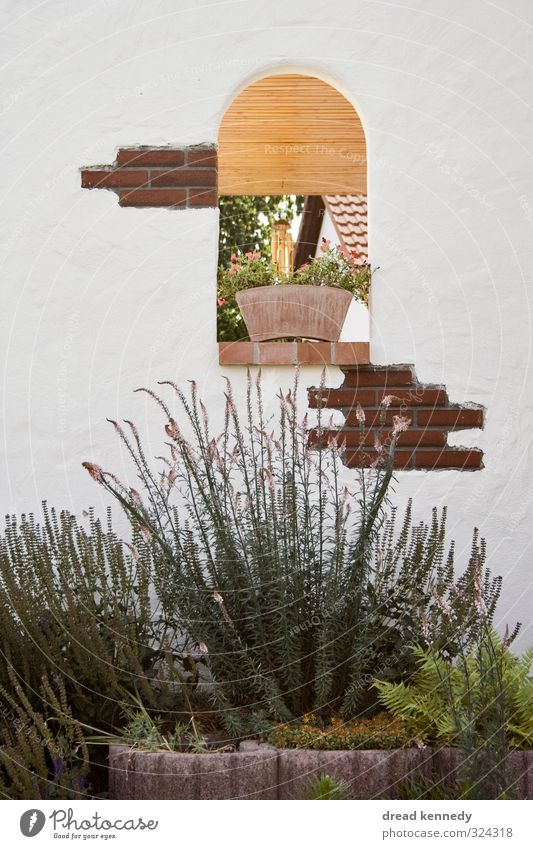 Fenster Kleinstadt Altstadt Haus Einfamilienhaus Bauwerk Mauer Wand Fassade Garten Stein natürlich Dekoration & Verzierung Pflanze Luke Privatsphäre Farbfoto