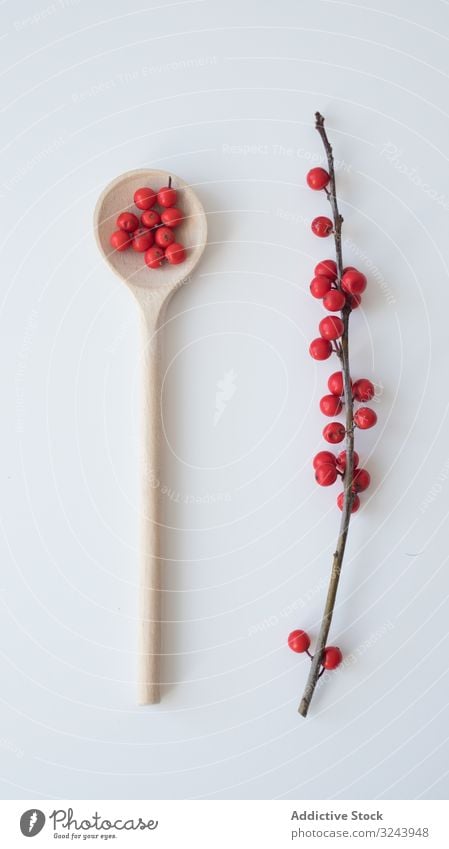 Winterbeere Stechpalme in Löffel und am Zweig Beeren rot Saison Natur natürlich Ernte Garten einfach Minimalismus Schneiden hell saisonbedingt Wald laublos