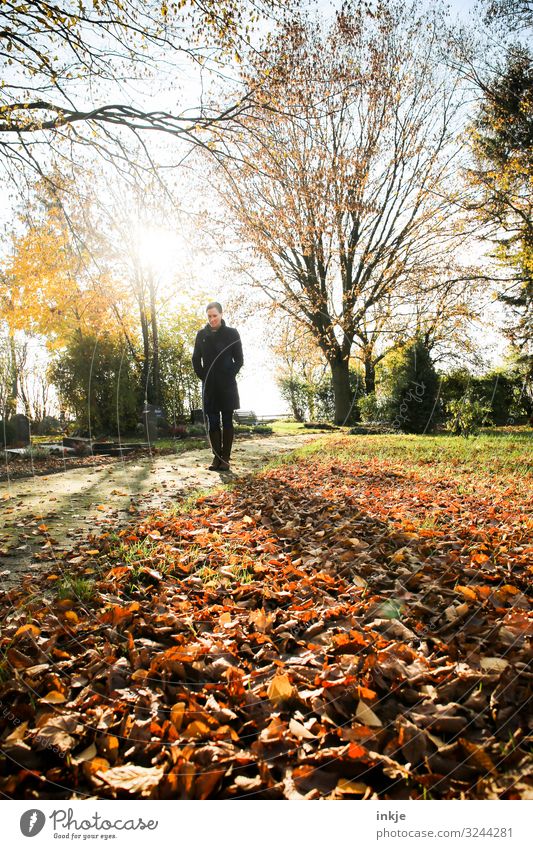 Friedhof Lifestyle Freizeit & Hobby Frau Erwachsene Leben 1 Mensch 18-30 Jahre Jugendliche 30-45 Jahre Sonne Sonnenaufgang Sonnenuntergang Sonnenlicht Herbst