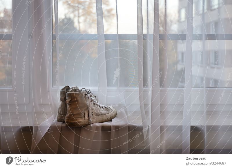 Fluchtgedanken Wohnung Gardine Fenster Fensterblick Fensterbrett Schuhe Turnschuh Blick warten Neugier grau Sehnsucht Fernweh Einsamkeit Erwartung