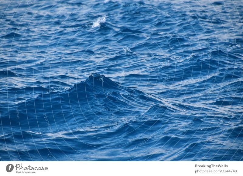 Blaue Meerwasseroberfläche mit Wellen und Wellen ruhig Ferien & Urlaub & Reisen Sommerurlaub Umwelt Natur Landschaft blau Farbe Oberfläche Rippeln