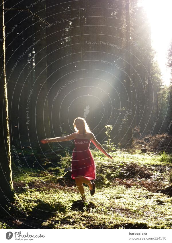 Tanz | der Elfen feminin Frau Erwachsene 1 Mensch Natur Sonnenlicht Sommer Moos Wald Kleid blond langhaarig leuchten Tanzen dunkel Fröhlichkeit hell rot Gefühle