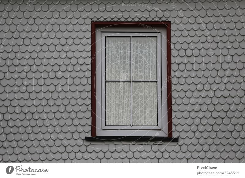 Fenster mit Gardine und Außenfassade im Einklang fenster Architektur Fassade Wand Außenaufnahme Häusliches Leben Stadt