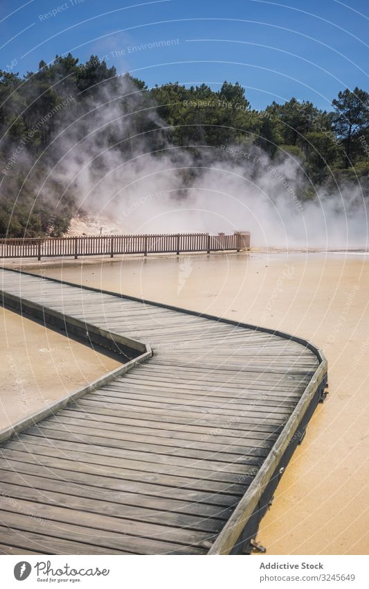 Rotoura-See und grüne Bäume in Neuseeland vulkanisch Landschaft Natur Wasser Geysir Teich reisen malerisch Geothermie Windstille Krater Tourismus Pflanze