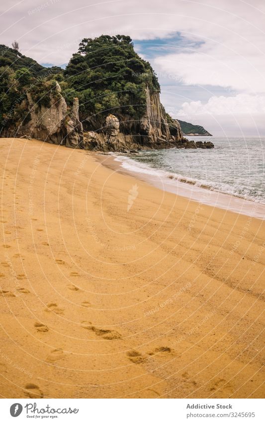 Sandstrand und grüner Wald in Pancake Rocks See Strand Natur Landschaft Fluss blau schön reisen Küste Ufer Sommer Cloud Ansicht farbenfroh Urlaub Tourismus