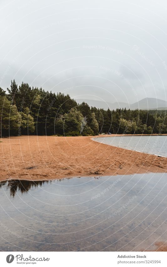 Seeufer mit Sandstrand und Wald Schottland Wasser friedlich ruhig Berge u. Gebirge Highlands Strand Landschaft Schottisch übersichtlich Windstille Ufer Sommer