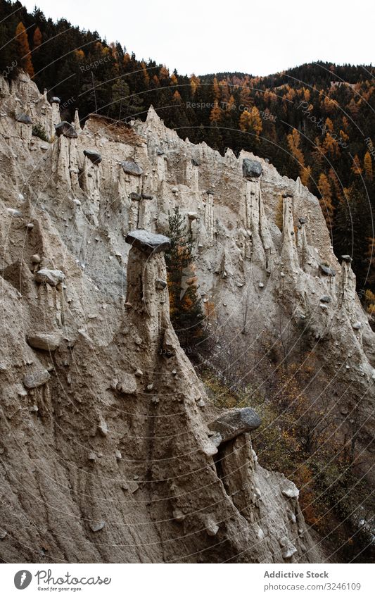 Große Berge in der Nähe von Kiefernwald bei bewölktem Wetter Wald Himmel bedeckt wolkig Natur Landschaft reisen Saison ländlich Baum schön Felsen Hügel Freiheit