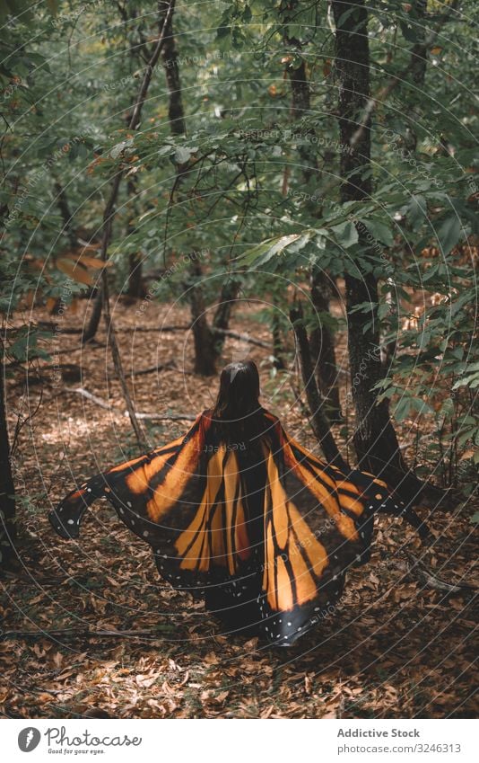 Frau in Schmetterlingstracht im Wald Tanzen Tracht Flügel Kap Baum Natur Hügel Angebot Eleganz zierlich Wanze Insekt Nachahmung üppig (Wuchs) Laubwerk Berghang