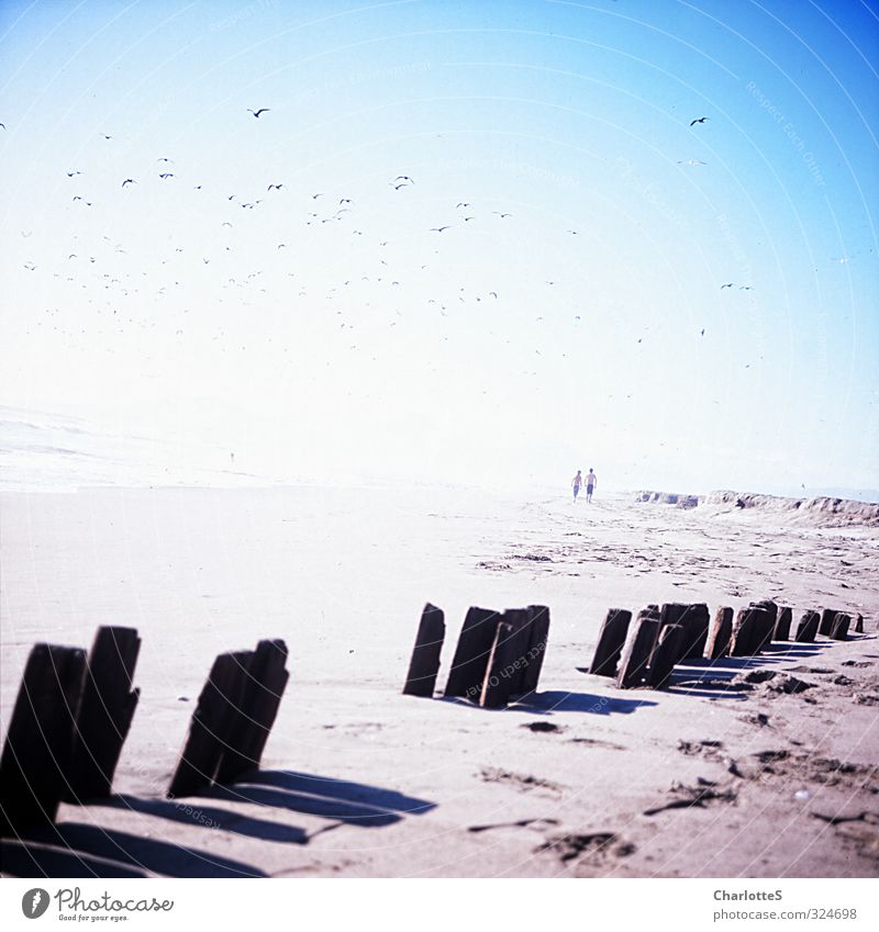 Gegen das Licht Sand Sonnenlicht Wellen Küste Strand Freude Fröhlichkeit Lebensfreude Frühlingsgefühle Vorfreude Begeisterung Vertrauen träumen Chile Farbfilm