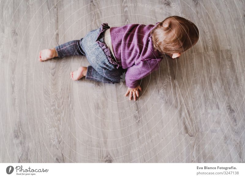 Porträt eines schönen kleinen Mädchens, das zu Hause krabbelt. Lifestyle Freude Freizeit & Hobby Spielen Kindergarten Mensch feminin Baby Kleinkind Kindheit 1