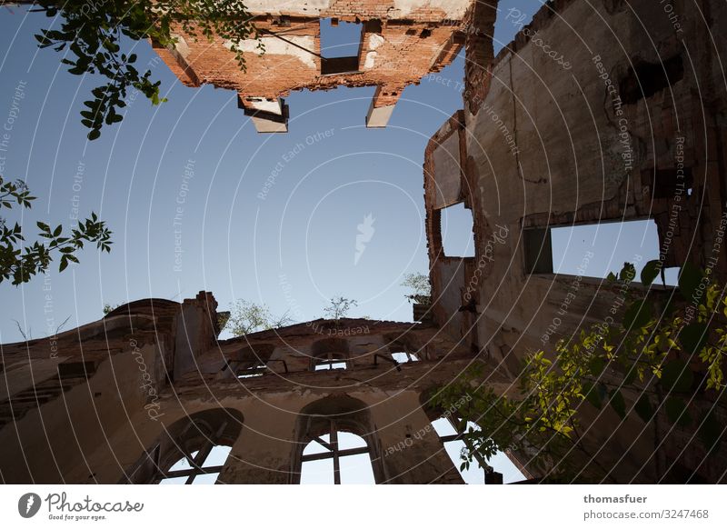 Ruine mit Himmel, Froschperspektive Tourismus Sightseeing Sommer Wolkenloser Himmel Schönes Wetter Baum Sträucher Park Altstadt Haus Kirche Gebäude Mauer Wand