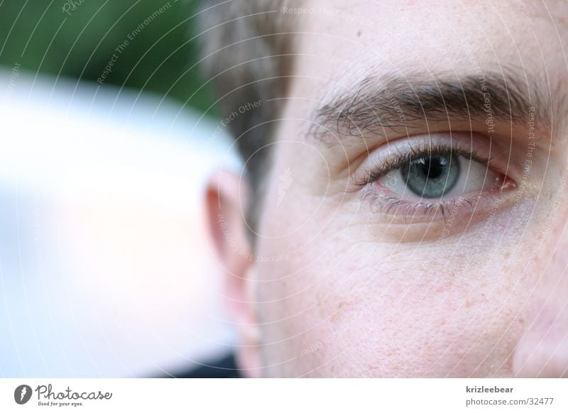 halfface Hälfte Mann Auge blau Gesicht eye blue