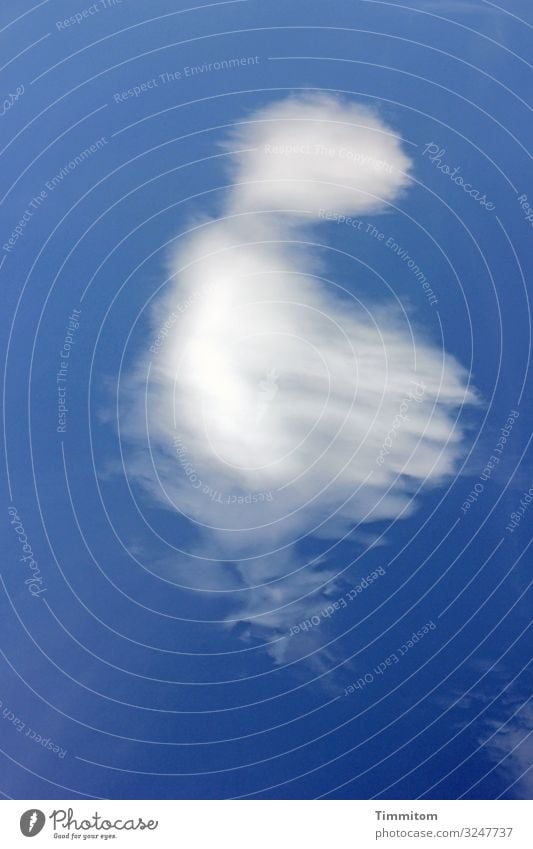 Kann die Zeichen deuten wer? Kunst Umwelt Natur Himmel Wolken Mensch Blick ästhetisch Freundlichkeit blau weiß Gefühle mahnen Farbfoto Außenaufnahme