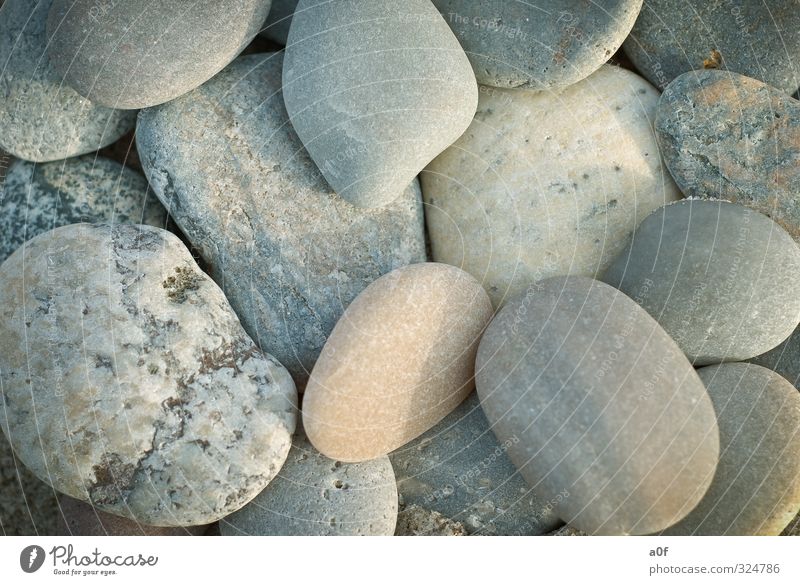 Steine Umwelt Natur Strand Nordsee alt Dänemark Farbfoto Außenaufnahme Nahaufnahme Detailaufnahme Muster Strukturen & Formen Menschenleer Tag Licht Schatten