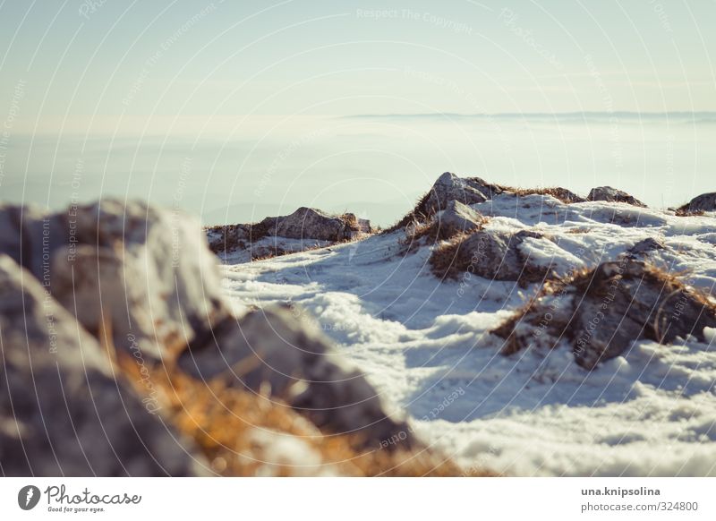 über dem nebel Tourismus Winterurlaub Schönes Wetter Nebel Schnee Felsen Alpen Berge u. Gebirge Schöckel Österreich Bundesland Steiermark kalt Freiheit