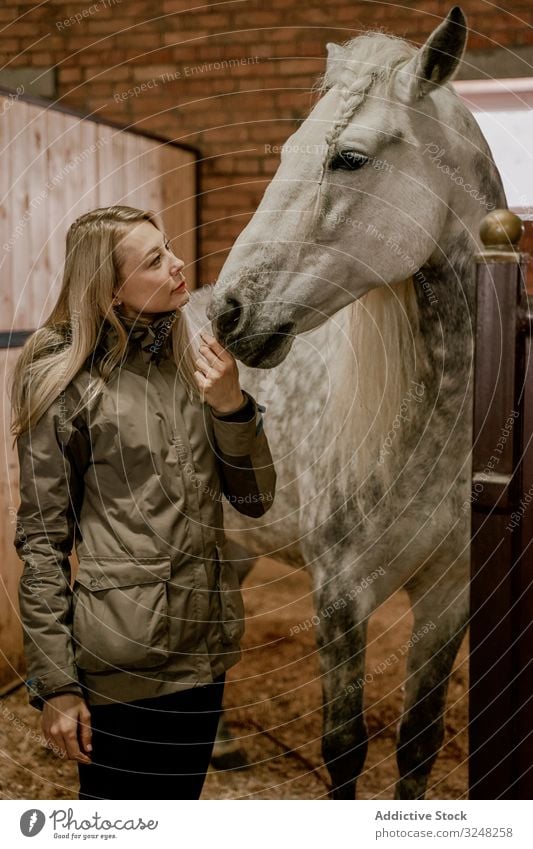 Frau umarmt Pferd mit langer Mähne im Gesicht im Stall Haustier Hengst Tier Pflege apfelgrau Kopf Maul weiß Natur Säugetier Zaumzeug Bauernhof Sattel Feld braun