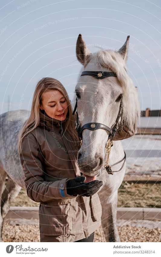 Warm gekleidete Frau mit grauem Pferd draußen Haustier Hengst Tier Pflege Natur Säugetier Stroh Bauernhof Sattel Pferderücken Weide Pferdestall Feld Zuneigung