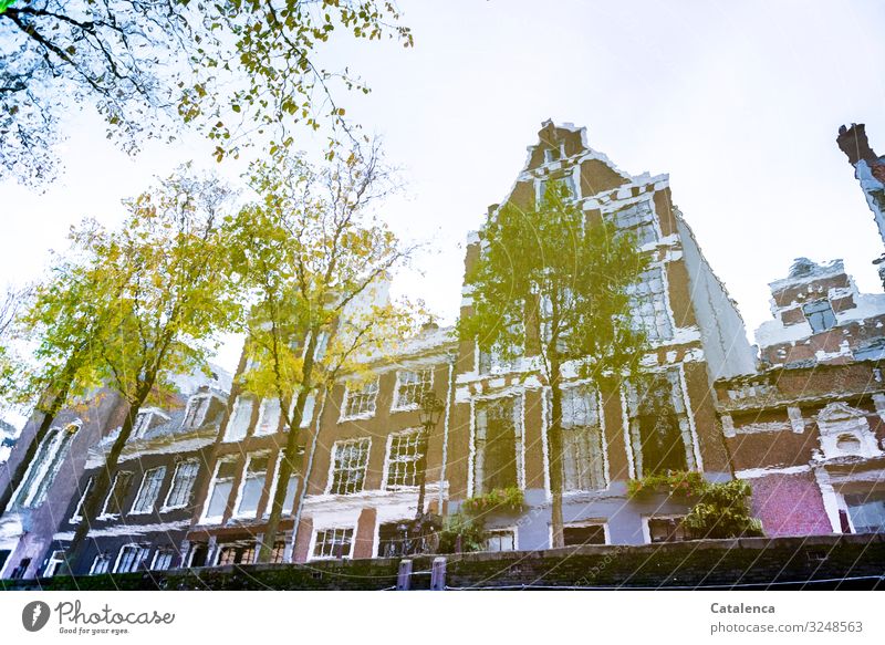 Die Häuserreihe  spiegelt sich in dem Wasser der Gracht Stadt Architektur Bauwerk Gebäude Fassade Fenster Altstadt Amsterdam Spiegelung Kanal Wasserweg Bäume