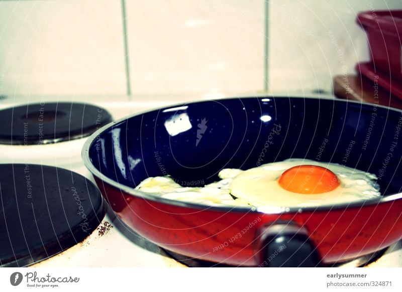 Spiegelei in Pfanne auf Herd kochen & garen Herd & Backofen Küche Herdplatte Ei lecker Essen Essen zubereiten Innenaufnahme Farbfoto Nahaufnahme Ernährung