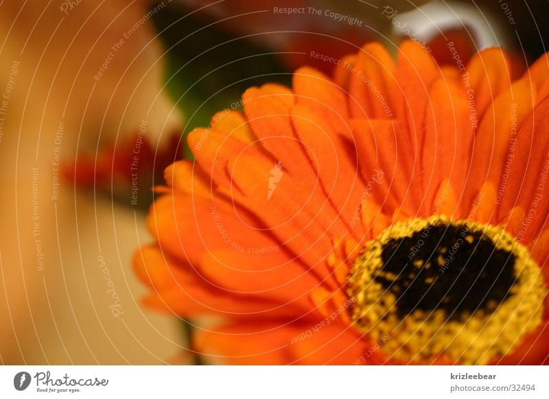 stoffblume Stoffblüten Blume Ringelblume falsch gestellt geschaffen orange Statue