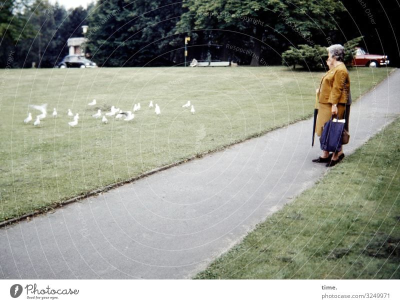 Zielgruppenorientierung feminin Frau Erwachsene 2 Mensch Baum Park Wiese Straße Wege & Pfade PKW Kleid Handschuhe Regenschirm grauhaarig kurzhaarig Locken Tier