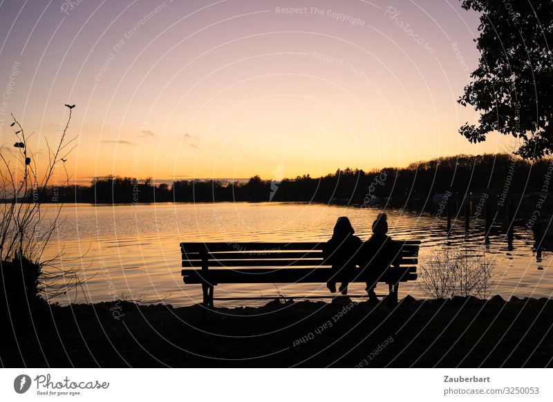 Kinder auf einer Bank, abends am Tegeler See Ausflug Mädchen Junge Geschwister Kindheit 3-8 Jahre Wasser Himmel Sonnenaufgang Sonnenuntergang Herbst Seeufer