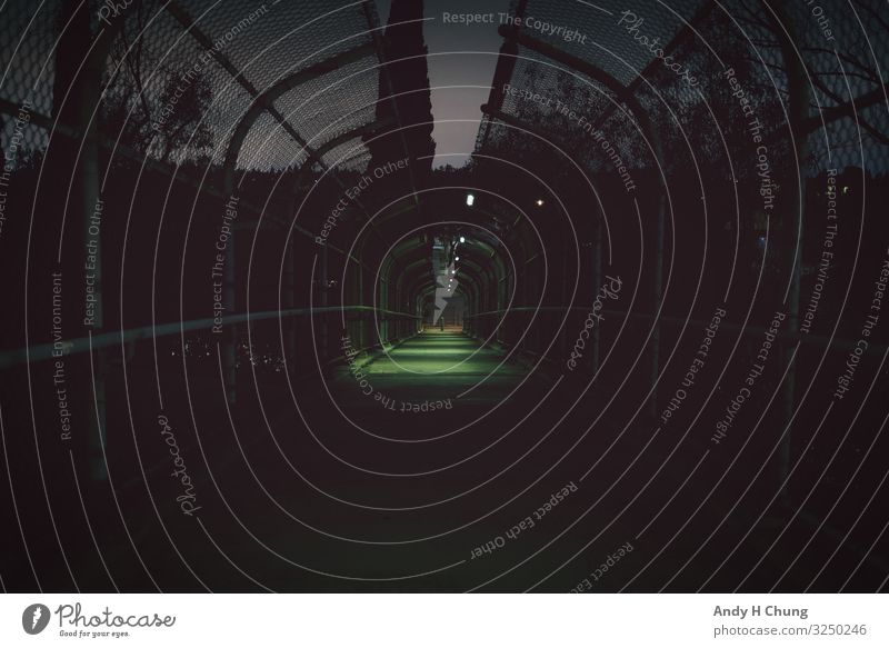 Unheilvolle Überführung Umwelt Stadt Brücke Tunnel Straße Autobahn Hochstraße beobachten leuchten Blick ästhetisch dunkel gruselig grün schwarz Wachsamkeit