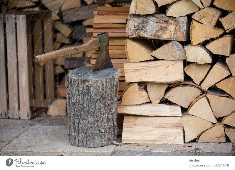 Brennholzvorrat Herbst Winter Axt Holz authentisch nachhaltig positiv trocken braun gelb grau Zufriedenheit anstrengen Erfolg Gesellschaft (Soziologie) Klima