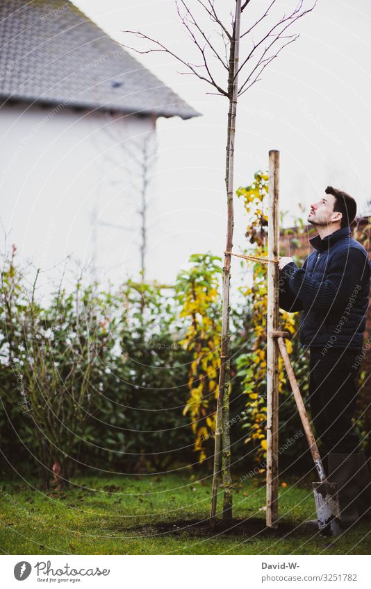 Mann pflanzt Baum mit Sparten im Garten pflanzen Umwelt nachhaltig verantwortung grün umweltfreundlich Natur Pflanze Umweltschutz Wachstum Klima Gartenarbeit