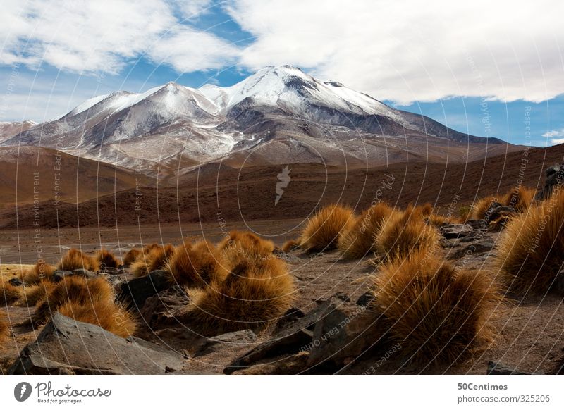 Die Anden in Bolivien Ferien & Urlaub & Reisen Winter Schnee Berge u. Gebirge wandern Natur Landschaft Himmel Wolken Schönes Wetter Eis Frost Pflanze Sträucher