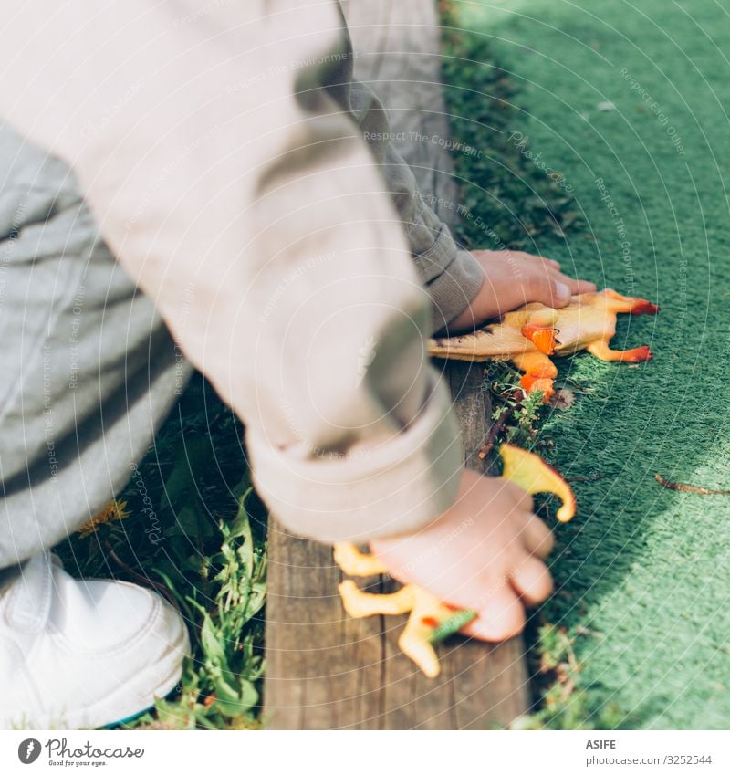 Schlafende Dinosaurier Freude Spielen Kind Schule Mensch Junge Kindheit Hand Gras Park Spielplatz Spielzeug Puppe Wachstum 5 Jahre künstlich Bildung Boden