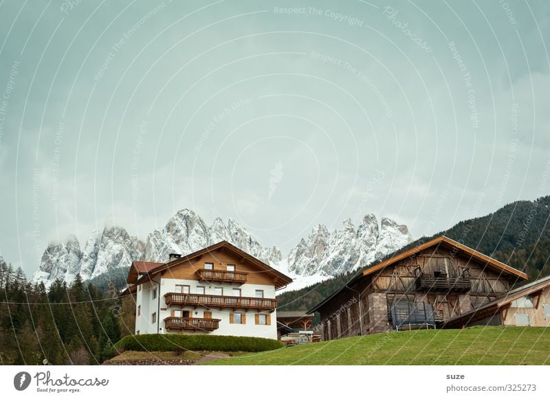 Wenn i hoamkomm ... Ferien & Urlaub & Reisen Sommer Berge u. Gebirge Häusliches Leben Haus Umwelt Natur Landschaft Himmel Klima Schönes Wetter Wiese Wald Alpen