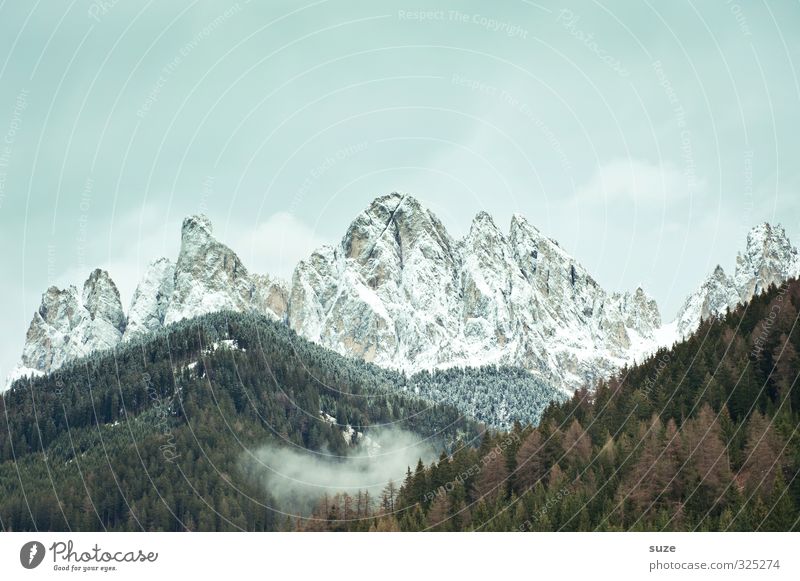 Der Berggeist Umwelt Natur Landschaft Himmel Wolken Klima Wetter Wiese Wald Alpen Berge u. Gebirge Gipfel Schneebedeckte Gipfel außergewöhnlich fantastisch groß