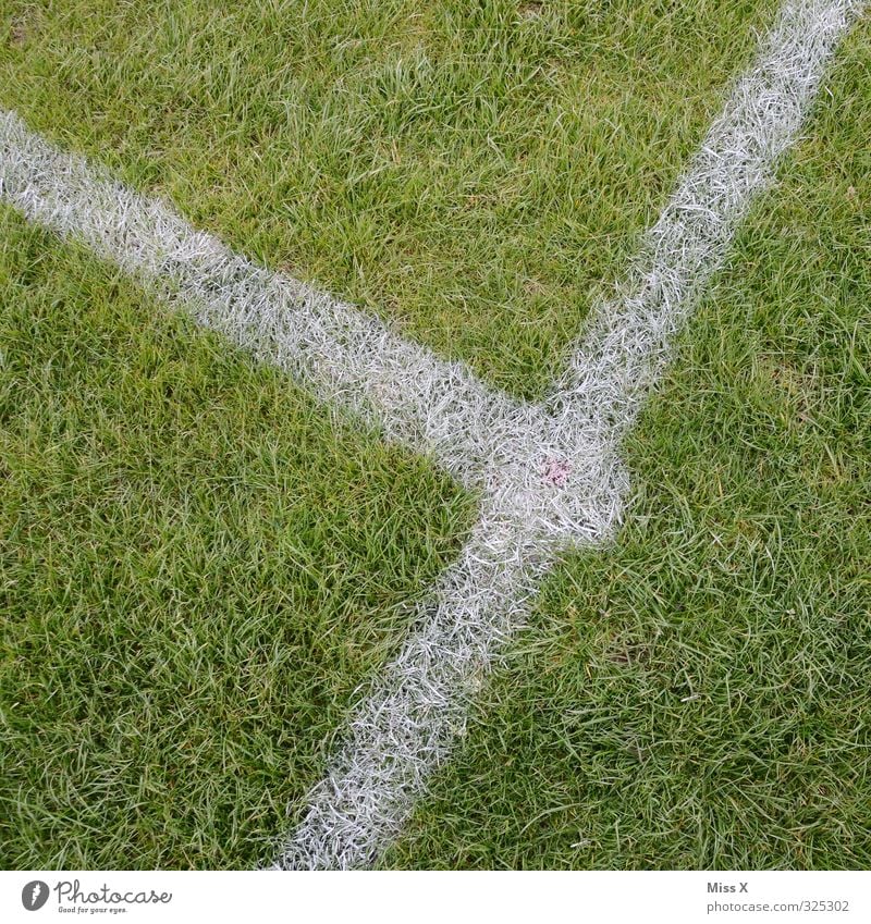 Treffpunkt Sport Ballsport Sportstätten Fußballplatz Gras Spielen grün Sportrasen Linie Eckstoß Mittellinie Schilder & Markierungen Markierungslinie Farbfoto