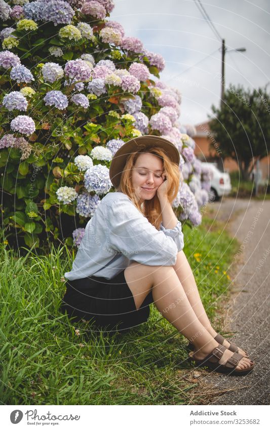 Frau zwischen Hortensienbüschen Blumen Buchse Garten heiter positiv Blütezeit sorgenfrei Glück Spaziergang farbenfroh Rotschopf Ingwer Inspiration Natur