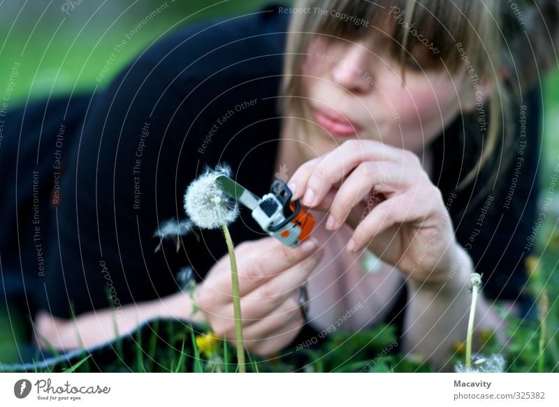 Gartenarbeit Freizeit & Hobby Handwerker Landwirtschaft Forstwirtschaft Energiewirtschaft Kettensäge Säge Axt Erneuerbare Energie Sonnenenergie feminin Frau